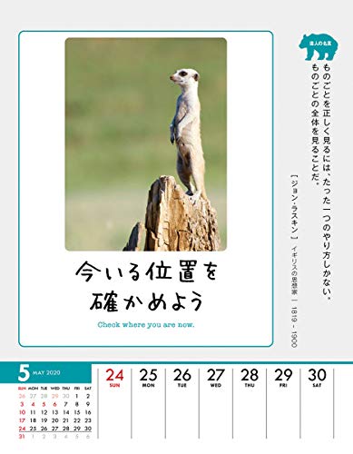 ウイング 人生はZooっと楽しい 2020年 カレンダー CL-401 卓上 動物