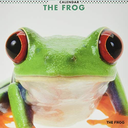 THE FROG 2019年 カレンダー 壁掛け CL-1149