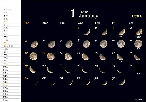 トーダン 卓上L ルナ~月ごよみ~ 2020年 カレンダー 卓上 CL-1029