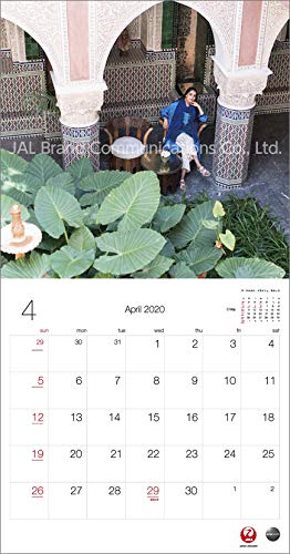 JAL「A WORLD OF BEAUTY」(普通判) 2020年 カレンダー 壁掛け CL-1242