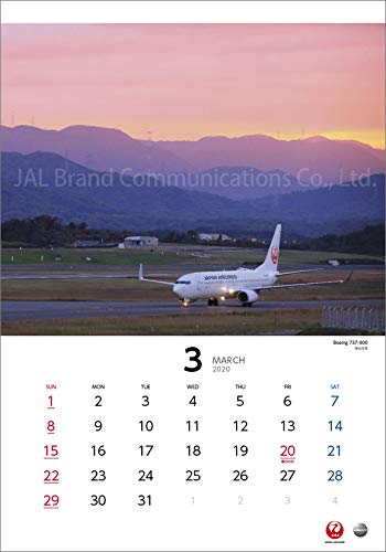 JAL「NIGHT FLIGHT」 2020年 カレンダー 壁掛け CL-1239