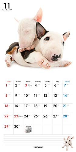 THE DOG カレンダー ブル・テリア 2020年