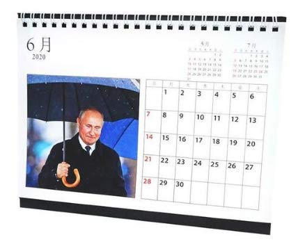 ２０２０年１月始まり【日本の祝日対応】 プーチンカレンダー 卓上 リングタイプ 販路限定品