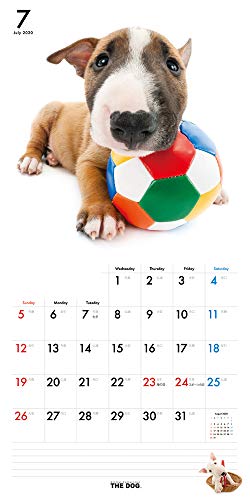 THE DOG カレンダー ブル・テリア 2020年