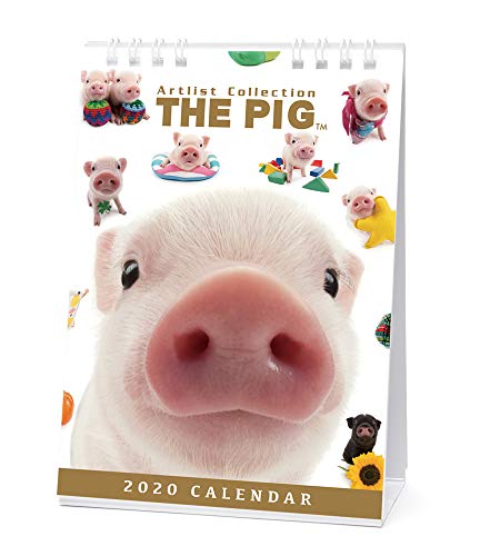 カレンダー 2020 卓上 THE PIG 403376 2020年1月-2020年12月 アーリスト ブタ ぶた ピグ