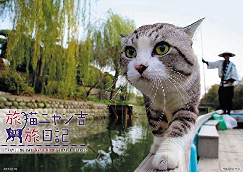 ウイング 旅猫ニャン吉 旅日記 2019年 カレンダー CL-380 壁掛け 52×36cm 猫
