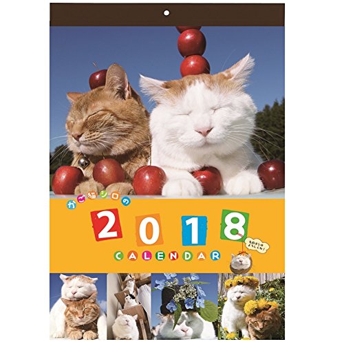 学研ステイフル かご猫 2018年 カレンダー 壁掛け BM12085