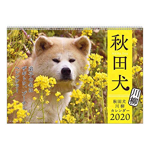 アートプリントジャパン 2020年 秋田犬カレンダー vol.021 1000109230