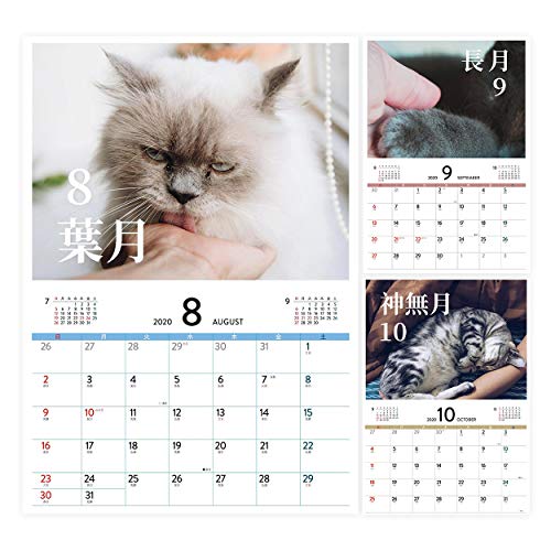 カレンダー 2020年 壁掛けカレンダー 愛猫との絆 大人気 プレゼント ファミリーカレンダー 罫線入り 見易い 前後の月 便利 御挨拶 新年 令和 景品