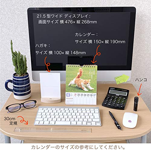 アクティブコーポレーション 2020年 カレンダー 猫 週めくり 卓上 だってネコだもの。 ACL-567