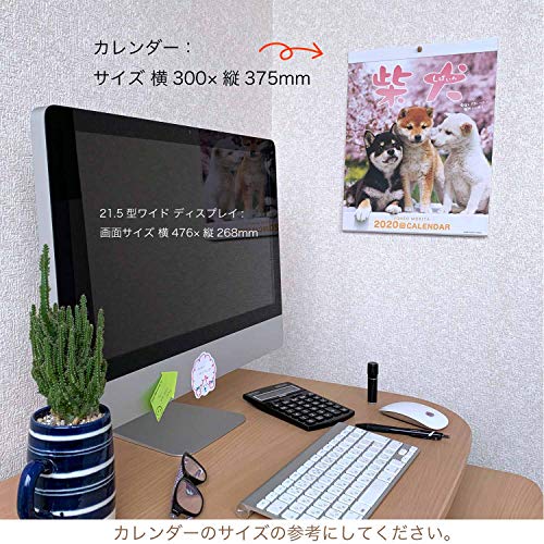 アクティブコーポレーション 2020年 カレンダー 犬 柴犬 壁掛け 森田米雄 まるごと柴犬 ACL-11