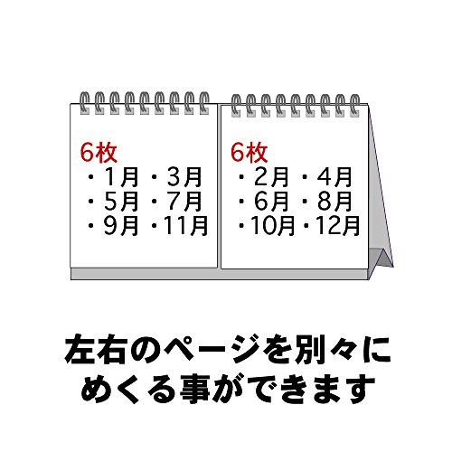 エムプラン キュービックス 2020年 カレンダー 卓上 プチプチ ベーシック 2か月 203319-01