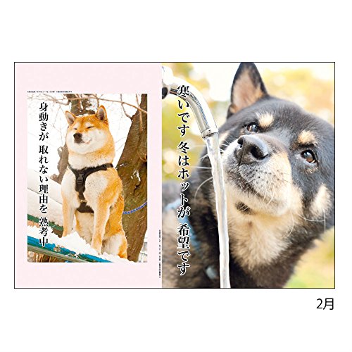 A.P.J. 犬川柳 2016年 カレンダー 壁かけ No.001 1000066677