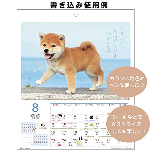 アクティブコーポレーション 2020年 カレンダー 犬 壁掛け DOGウォール ACL-01