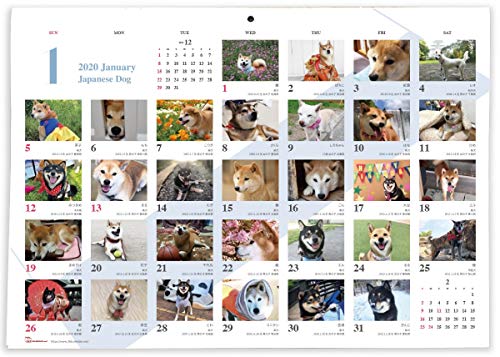 365カレンダー 2020年 日本犬 カレンダー 壁掛け 卓上付き 2020-018