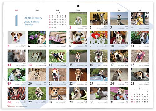 365カレンダー 2020年 ジャックラッセルテリア カレンダー 壁掛け 卓上付き 2020-024
