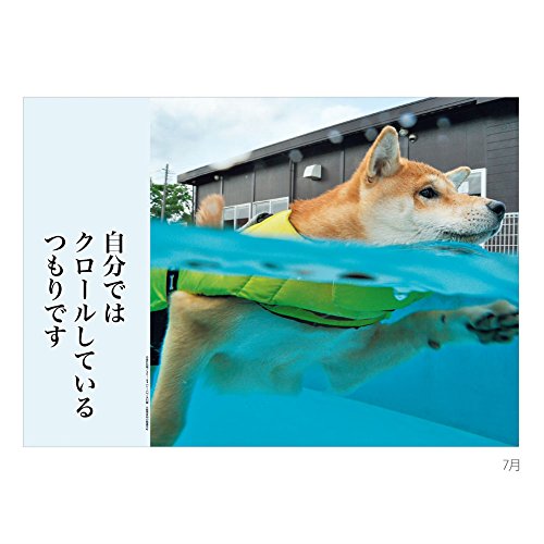 A.P.J. 犬川柳 2016年 カレンダー 壁かけ No.001 1000066677