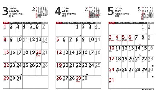 トライエックス 卓上 3か月 スケジュール 2020年 カレンダー CL-668 卓上 書き込み
