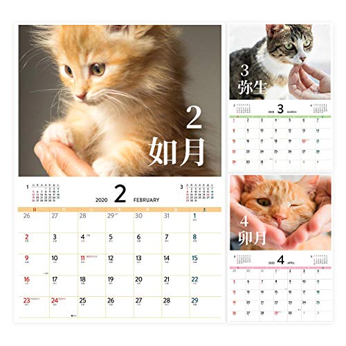 カレンダー 2020年 壁掛けカレンダー 愛猫との絆 大人気 プレゼント ファミリーカレンダー 罫線入り 見易い 前後の月 便利 御挨拶 新年 令和 景品