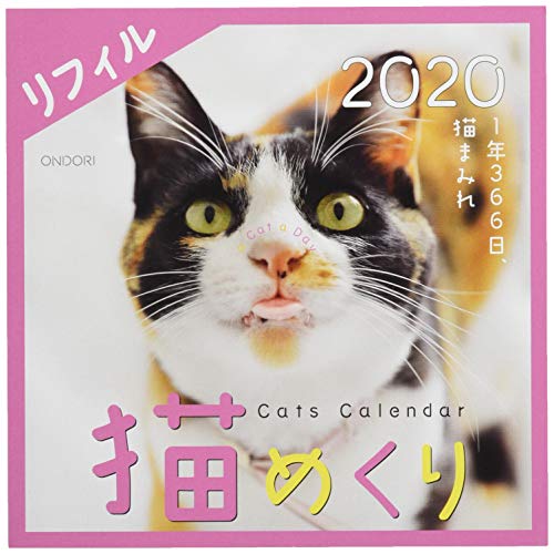 シーオーツー 猫めくり 2020年 カレンダー リフィル 日めくり CK-C20-02