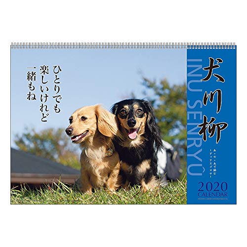 アートプリントジャパン 2020年 ダックス川柳カレンダー vol.003 1000109212