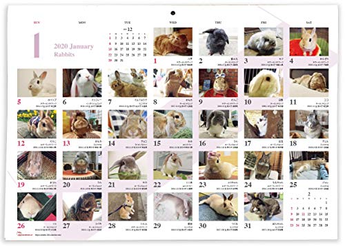 365カレンダー 2020年 ウサギ カレンダー 壁掛け 卓上付き 2020-001