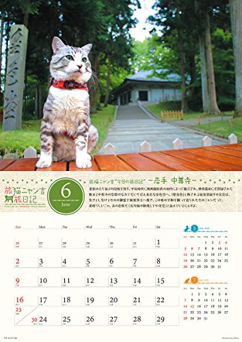 ウイング 旅猫ニャン吉 旅日記 2019年 カレンダー CL-380 壁掛け 52×36cm 猫
