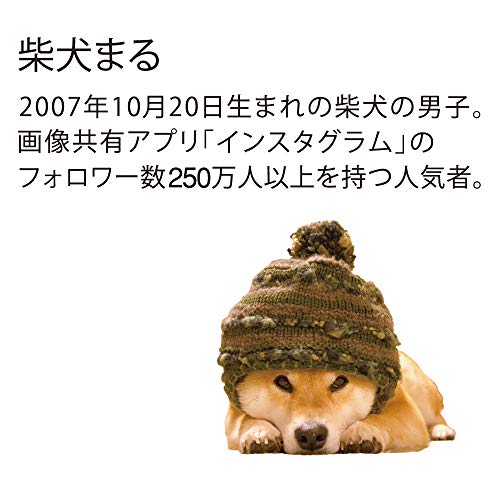 新日本カレンダー 2020年 カレンダー 卓上 柴犬まるとおさんぽ NK8529