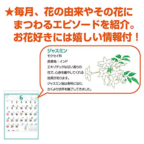 新日本カレンダー 2020年 カレンダー 壁掛け 花日記 フラワーダイアリー NK108