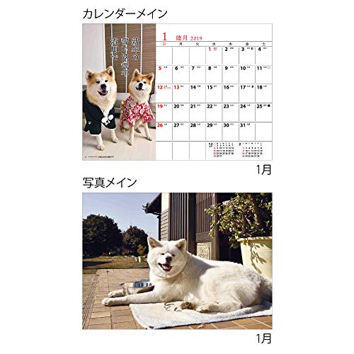 アートプリントジャパン 2020年 秋田犬（卓上）カレンダー vol.022 1000109231