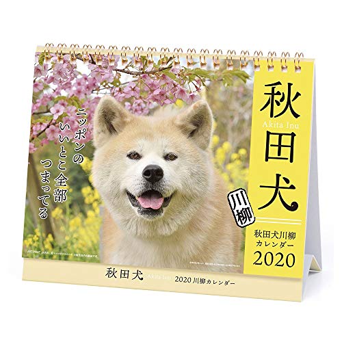 アートプリントジャパン 2020年 秋田犬（卓上）カレンダー vol.022 1000109231