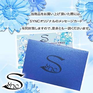 SYNC かわいい おへや ハムスター用 冷たい ひんやり ハウス 涼感ハウス 小動物 ベッド インテリア (貝殻)