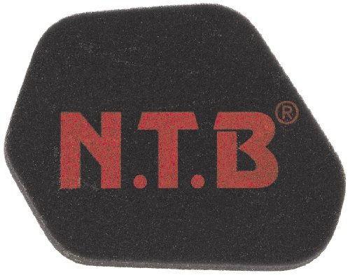 NTB(エヌティービー) HA-1013 エアフィルター [HTRC3]