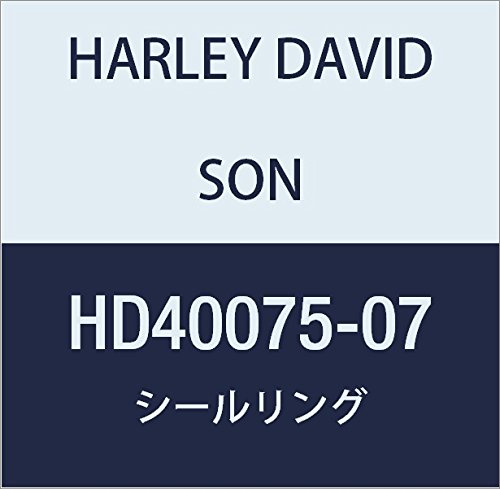 ハーレーダビッドソン(HARLEY DAVIDSON) SEAL RING HD40075-07