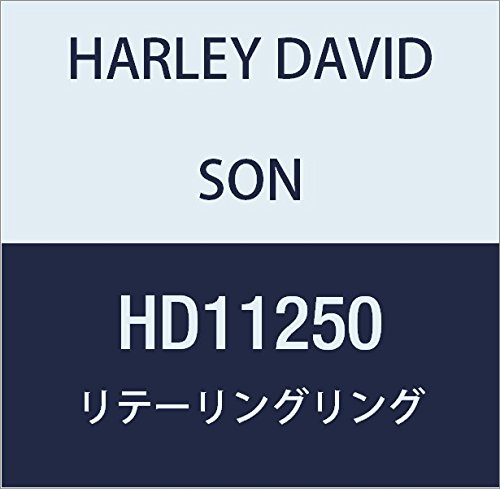 ハーレーダビッドソン(HARLEY DAVIDSON) RETAINING RING, RAMP HD11250