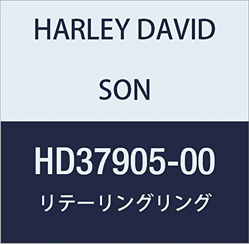 ハーレーダビッドソン(HARLEY DAVIDSON) RETAINING RING HD37905-00