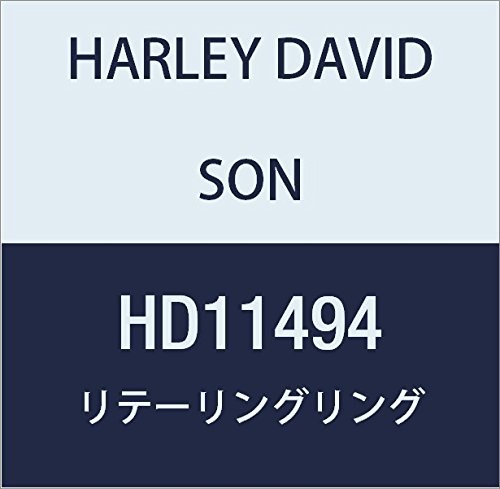 ハーレーダビッドソン(HARLEY DAVIDSON) RETAINING RING HD11494