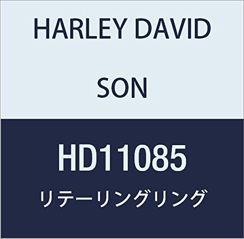 ハーレーダビッドソン(HARLEY DAVIDSON) RETAINING RING HD11085