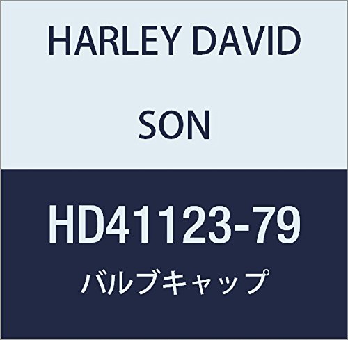 ハーレーダビッドソン(HARLEY DAVIDSON) VALVE CAP HD41123-79
