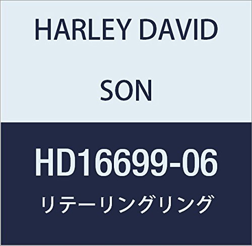 ハーレーダビッドソン(HARLEY DAVIDSON) RETAINING RING HD16699-06