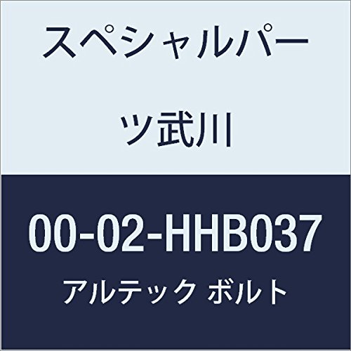 SP武川 ALTECH クランクケース用 BL 00-02-HHB037