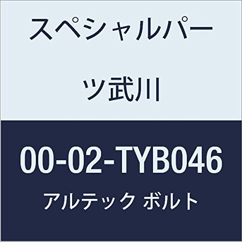 SP武川 ALTECH クランクケースカバー2用 BL 00-02-TYB046