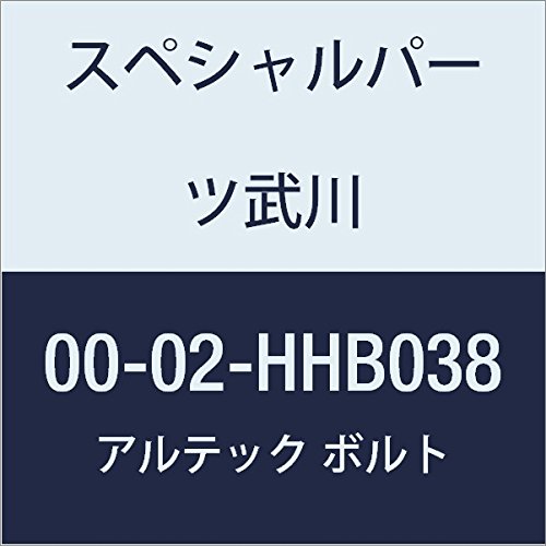 SP武川 ALTECH R.クランクケースカバー用 BL 00-02-HHB038