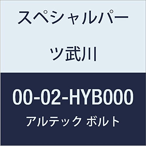 SP武川 ALTECH クランクケースカバー用 BL 00-02-HYB000