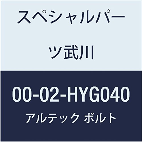 SP武川 ALTECH クランクケースカバー2用 GD 00-02-HYG040