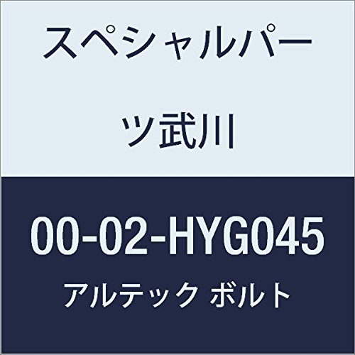 SP武川 ALTECH クランクケースカバー1用 GD 00-02-HYG045