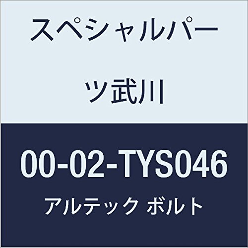 SP武川 ALTECH クランクケースカバー2用 SV 00-02-TYS046