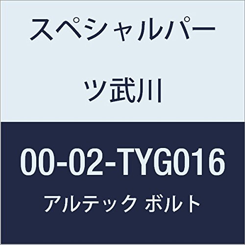 SP武川 ALTECH クランクケースカバー3用 GD 00-02-TYG016