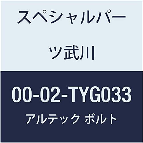SP武川 ALTECH クランクケースカバー1用 GD 00-02-TYG033