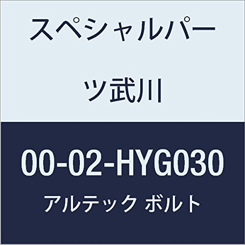 SP武川 ALTECH クランクケースカバー2用 GD 00-02-HYG030